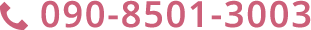 090-8501-3003