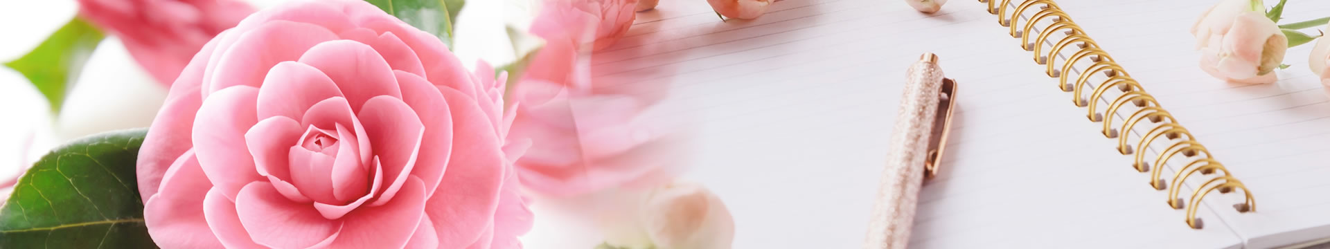 椿明子行政書士事務所