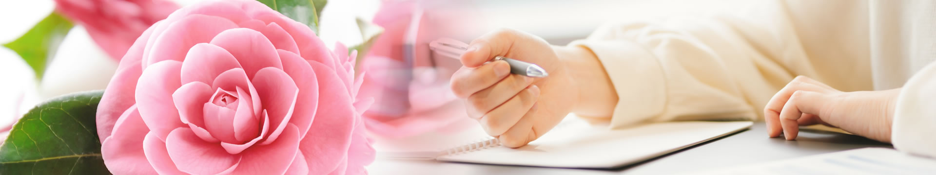 椿明子行政書士事務所