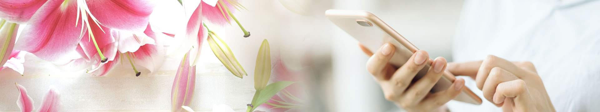 椿明子行政書士事務所